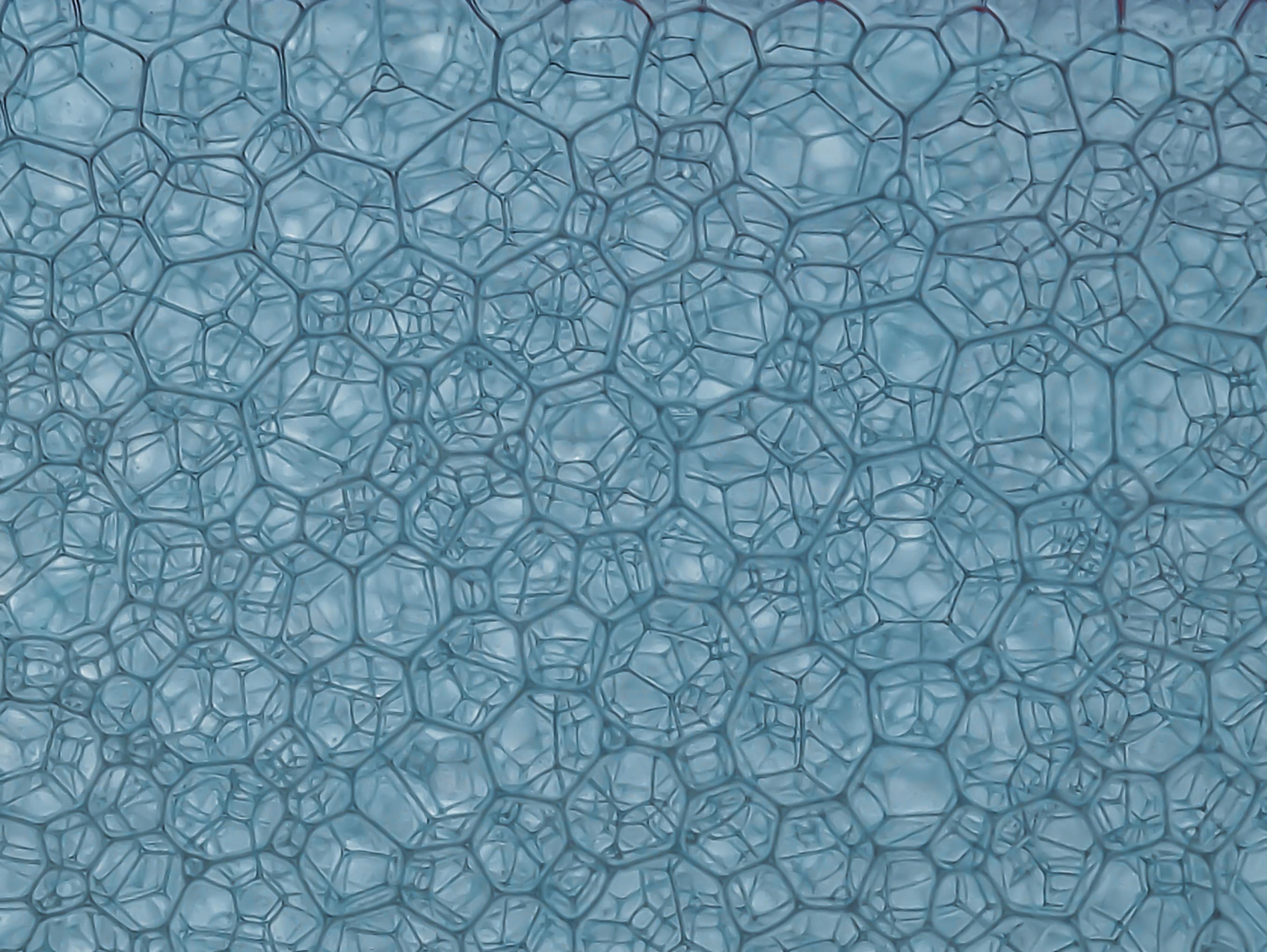 尼龍也有"DNA"的,這才是區(qū)分它們的方法