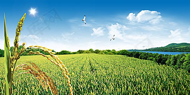 現(xiàn)如今可生物降解塑料的實(shí)際用途有哪些?